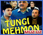 Tungi mehmon