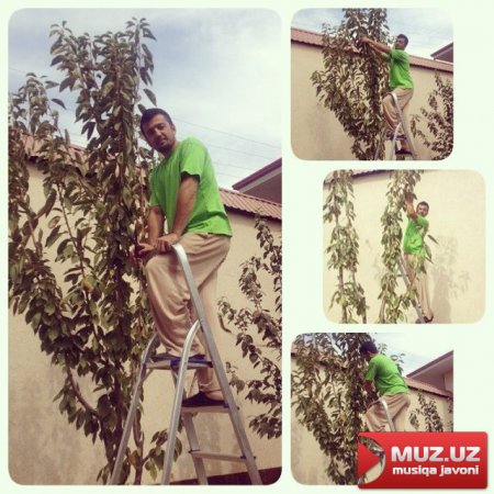 Internetda nima gap?